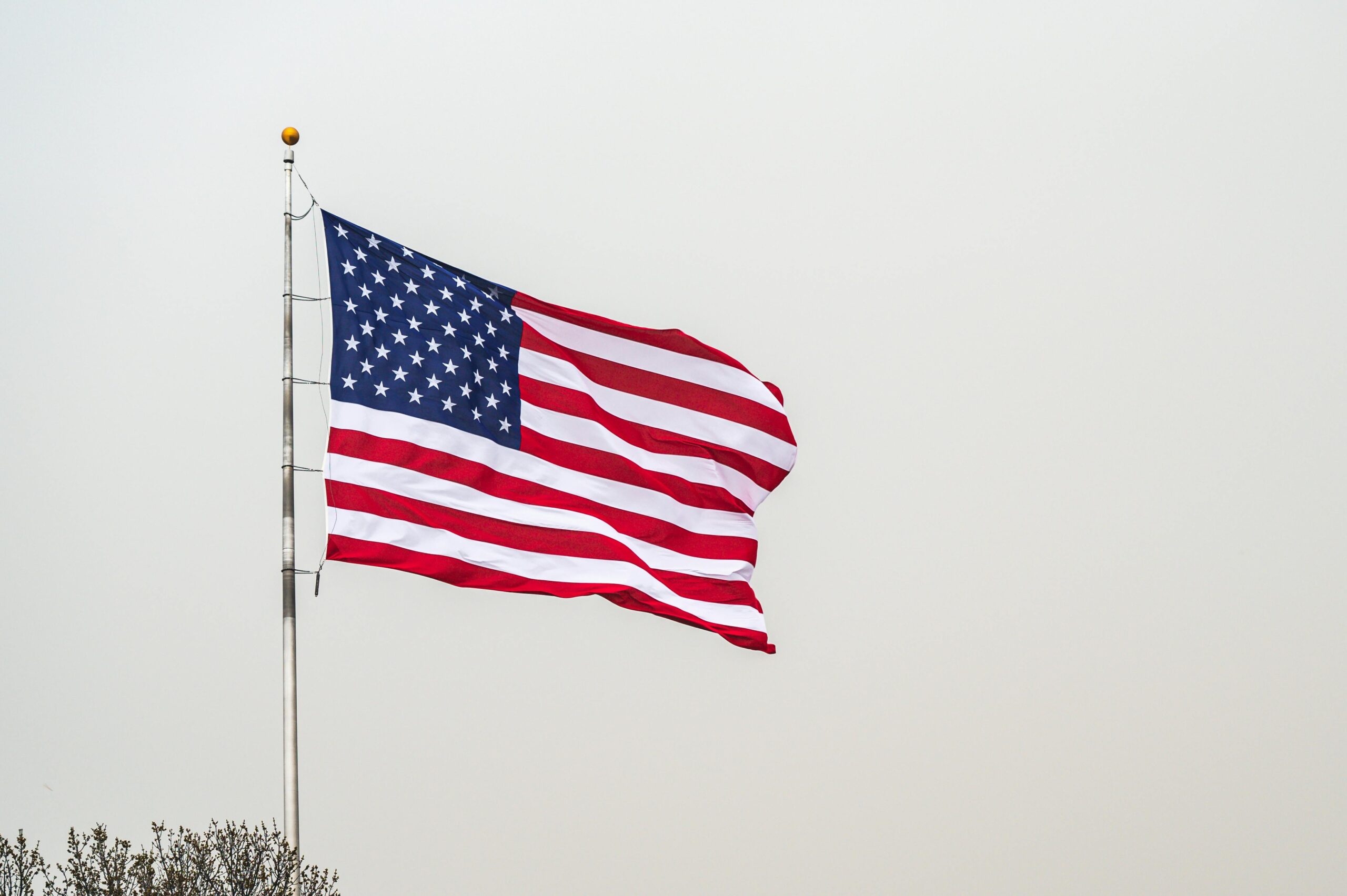 U.S.-based white-collar